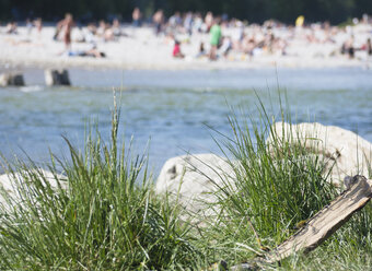 Deutschland, Bayern, München, Nahaufnahme von Gräsern an der Isar mit Menschen im Hintergrund - LFF000273