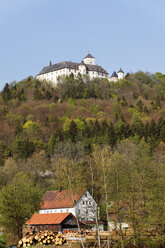 Deutschland, Bayern, Franken, Oberfranken, Fränkische Schweiz, Heiligenstadt, Blick auf Burg Greifenstein - SIEF001494