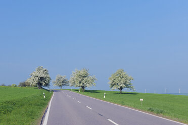 Deutschland, Saarland, Blick auf blühenden Obstbaum neben Landstraße - RUEF000711