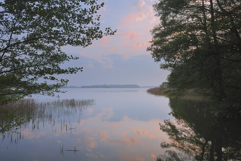 Deutschland, Mecklenburg-Vorpommern, Mecklenburger Seenplatte, Plau am See, Blick auf Suset mit Bäumen am See - RUEF000701