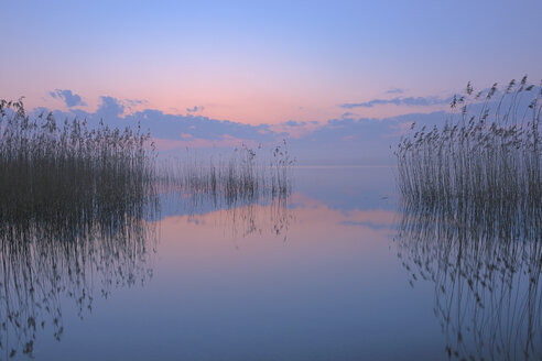 Deutschland, Mecklenburg-Vorpommern, Mecklenburger Seenplatte, Plau am See, Blick auf Sonnenaufgang mit Schilf und Spiegelung im See - RUEF000698