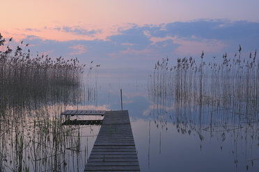 Deutschland, Mecklenburg-Vorpommern, Mecklenburger Seenplatte, Plau am See, Blick auf Steg bei Sonnenaufgang mit Schilf am See - RUEF000697