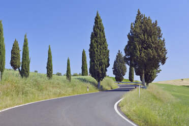 Italien, Toskana, Provinz Siena, Val d'Orcia, Blick auf eine von Zypressen gesäumte Straße - RUEF000681