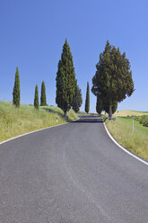 Italien, Toskana, Provinz Siena, Val d'Orcia, Blick auf eine von Zypressen gesäumte Straße - RUEF000680