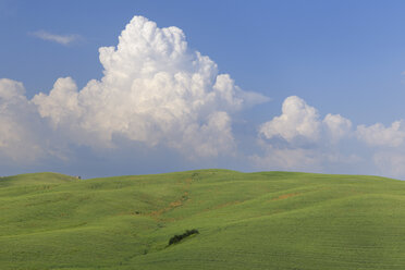 Italy, Tuscany, Province of Siena, Val d'Orcia, Pienza, View of cumulonimbus cloud with green field - RUEF000675