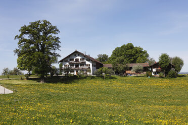 Deutschland, Bayern, Oberbayern, Münsing, Luigenkam, Blick auf Bauernhaus auf Wiesenlandschaft - SIEF001570