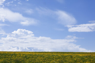 Deutschland, Bayern, Oberbayern, Blick auf eine Wiesenlandschaft im Frühling - SIEF001558