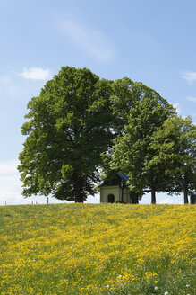 Deutschland, Bayern, Oberbayern, Degerndorf, Münsing, Blick auf die Maria-Denk-Kapelle auf der Wiese - SIEF001557