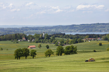 Deutschland, Bayern, Oberbayern, Holzhausen, Münzing, Blick auf Wiese mit Starnberger See im Hintergrund - SIEF001554