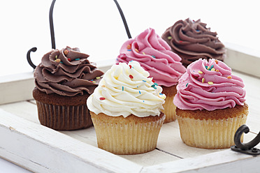 Nahaufnahme einer Vielzahl von Buttercreme-Cupcakes auf einem Tablett vor weißem Hintergrund - CSF014954