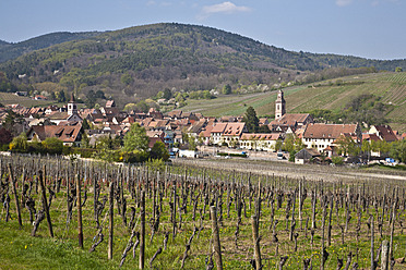 Frankreich, Elsass, Riquewihr, Ansicht der Stadt mit Weinberg im Vordergrund - WDF000902