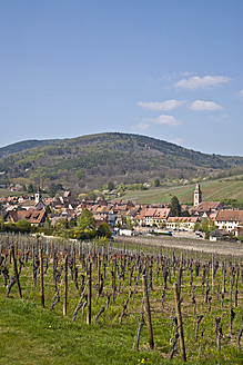 Frankreich, Elsass, Riquewihr, Ansicht der Stadt mit Weinberg im Vordergrund - WDF000901