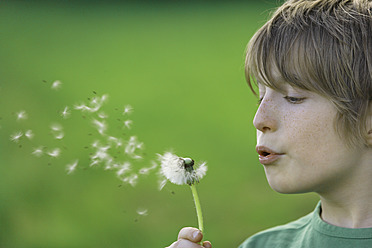 Germany, Close up of boy blowing dandelion seeds - TCF001520