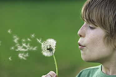 Germany, Close up of boy blowing dandelion seeds - TCF001519