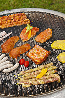Germany, Bavaria, Close up of skewers and variety of meats on grill - TSF000273