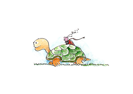 Illustration snail on top of running turtle - KTF000051