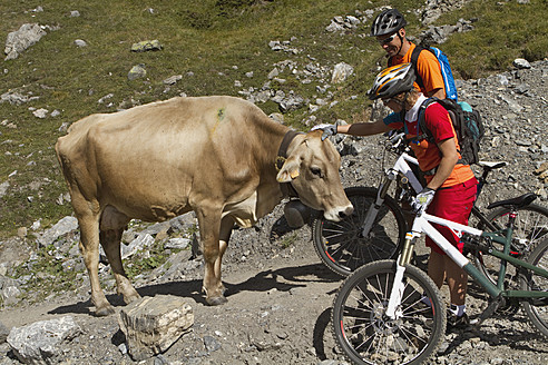 Italien, Livigno, Blick auf Frau und Mann mit Mountainbike, die eine Kuh streicheln - FFF001172