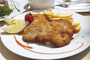 Close up of Viennese Schnitzel with french fried potatoes - CSF015133