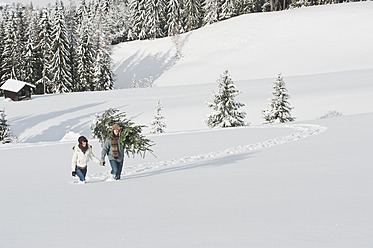 Österreich, Salzburger Land, Flachau, Junger Mann und Frau tragen Weihnachtsbaum im Schnee - HHF003667