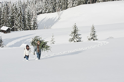 Austria, Salzburg Country, Flachau, Young man and woman carrying christmas tree in snow - HHF003667