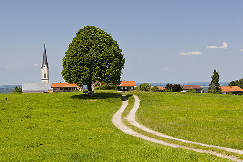 Deutschland, Bayern, Irschenberg, Blick auf Tilia-Baum und Feldweg mit Dorf im Hintergrund - FOF003429