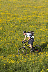 Deutschland, Bayern, Schliersee, Älterer Mann beim Mountainbiking in Wiesen - FFF001201