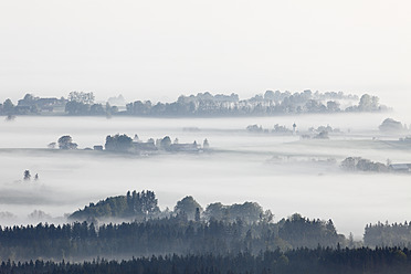 Germany, Bavaria, Upper Bavaria, View from Hohenpeissenberg of landscape with morning fog - SIEF001574