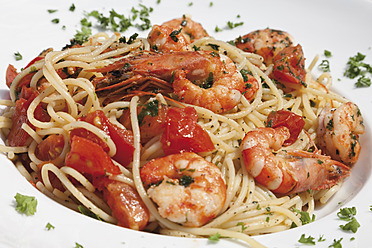 Germany, Close up of spaghetti with scampis fried in chili oil, tomato and herb - CSF015270