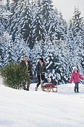 Österreich, Salzburger Land, Flachau, Blick auf Familie mit Weihnachtsbaum und Schlitten im Schnee - HHF003714
