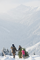 Österreich, Salzburger Land, Flachau, Blick auf Familie mit Weihnachtsbaum und Schlitten im Schnee - HHF003715