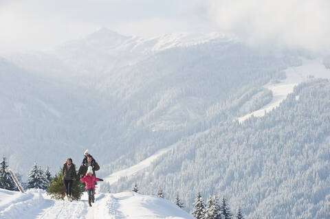 Österreich, Salzburger Land, Flachau, Blick auf Familie mit Weihnachtsbaum und Schlitten im Schnee, lizenzfreies Stockfoto