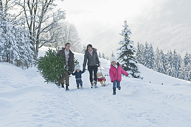 Austria, Salzburg Country, Flachau, View of family carrying christmas tree and sledge in snow - HHF003718