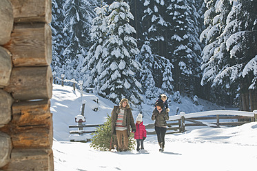 Austria, Salzburg Country, Flachau, View of family carrying christmas tree and sledge in snow - HHF003720