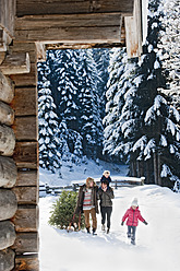 Austria, Salzburg Country, Flachau, View of family carrying christmas tree and sledge in snow - HHF003726