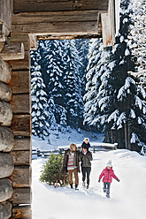 Österreich, Salzburger Land, Flachau, Blick auf Familie mit Weihnachtsbaum und Schlitten im Schnee - HHF003726