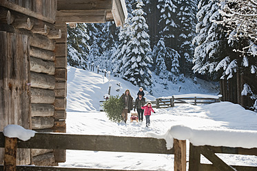 Österreich, Salzburger Land, Flachau, Blick auf Familie mit Weihnachtsbaum und Schlitten im Schnee - HHF003729