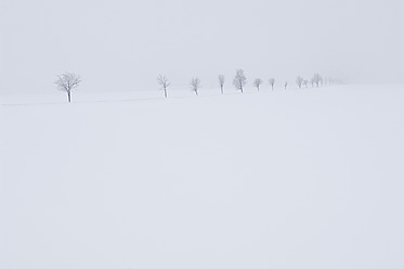 Deutschland, Schwäbische Alb, Blick auf frostige Winterlandschaft mit Baumbestand - CRF002050