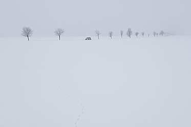 Deutschland, Schwäbische Alb, Blick auf frostige Winterlandschaft mit Baumreihe und Auto auf Straße - CRF002051