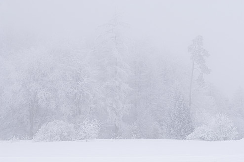 Deutschland, Schwäbische Alb, Blick auf frostige Winterlandschaft mit dichtem Nebel und Bäumen - CRF002054