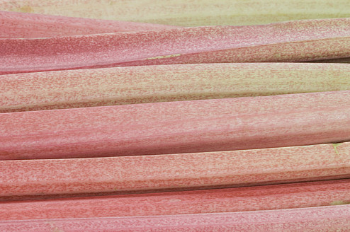 Close up of rhubarb, full frame - CRF002066