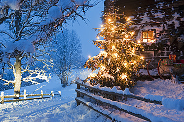 Österreich, Salzburger Land, Flachau, Blick auf beleuchteten Weihnachtsbaum mit Schlitten vor einer Almhütte in der Abenddämmerung - HHF003763