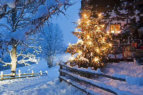 Austria, Salzburg Country, Flachau, View of illuminated christmas tree with sleigh in front of alpine hut at dusk - HHF003763