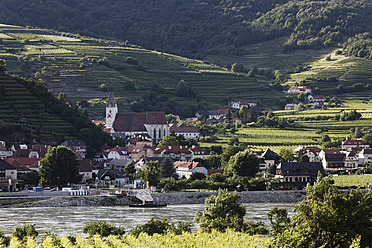 Austria, Lower Austria, Wachau, Spitz an der Donau, View of village with Danube river - SIEF001657
