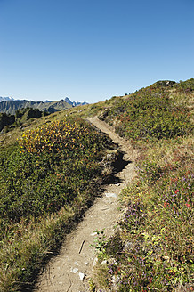 Österreich, Kleinwalsertal, Blick auf Wanderweg am Berg - MIRF000215