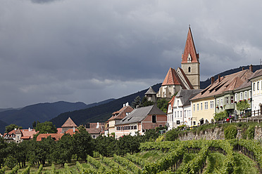 Österreich, Niederösterreich, Wachau, Weißenkirchen in der Wachau, Ortsansicht mit Weinberg im Vordergrund - SIEF001678