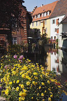 Frankreich, Elsass, Colmar, Haut-Rhin, Elsässische Weinstraße, Petite Venise, Blick auf Häuser am Kanal mit blühenden Pflanzen im Vordergrund - GWF001519