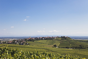 Frankreich, Elsass, Haut-Rhin, Elsässische Weinstraße, Hunawihr, Blick auf Weinberg und Dorf im Spätsommer - GWF001523