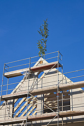 Deutschland, Baden-Württemberg, Stuttgart, Ansicht eines eingerüsteten Gebäudes mit Richtfestbaum - WDF001009