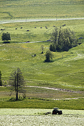 Germany, Bavaria, Swabia, Allgaeu, Oberallgaeu, Oberstaufen, View of countryside - SIEF001705