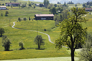 Deutschland, Bayern, Schwaben, Allgäu, Oberallgäu, Oberstaufen, Blick in die Landschaft - SIEF001707